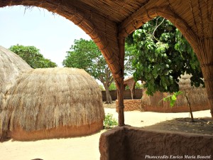 In Senegal ho percepito la differenza che c’è nel dormire in un luogo rispetto un altro e sentirsi “benvoluti”. Negli eco-lodge abbiamo ricevuto un’accoglienza calorosa, si sono presi cura di noi in ogni istante. Sorrisi veri, disponibilità di ascolto e abbiamo riscontrato un entusiasmo ed un organizzazione che solo chi vive in questi luoghi può fornirti. Consiglio questa esperienza perché pernottando in queste strutture non solo rispetti l’ambiente, vivi a contatto con la cultura del luogo, ma sostieni e contribuisci alla crescita economica e al benessere della popolazione locale partecipando oppure sostenendo vari progetti. In Senegal , come ho più volte detto , a fare la differenza sono state le persone che ci hanno fatto stare bene ed anche questa esperienza ha contribuito molto a conoscerle meglio.